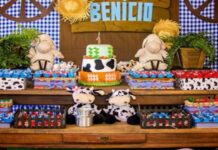 Festa Fazendinha Simples e Barata: Ideias Criativas para Celebrar sem Gastar Muito caixa de sapato